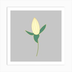 Tulip Art Print