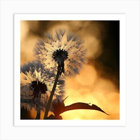 Sunset Dandelion Art Print