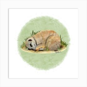 Meerkat/Suricate Art Print