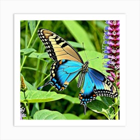 Blue Swallowtail Butterfly 4 Art Print