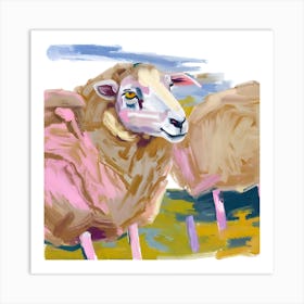 Merino Sheep 03 Art Print