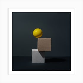 Ball On A Block Art Print