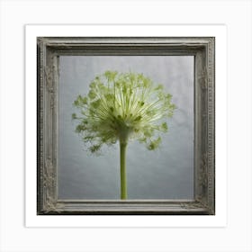 Allium Art Print