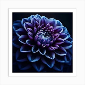 Indigo Dahlia, Macro Photography 4 Art Print