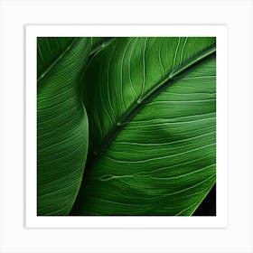 Close Up Of Green Leaves Art Print