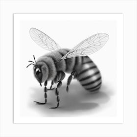 Bee Drawing Art Print