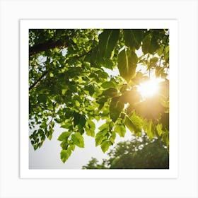 Sun Shining Through Green Leaves 2 Art Print