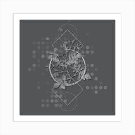 Vintage Malmedy Rose Botanical with Line Motif and Dot Pattern in Ghost Gray n.0003 Art Print