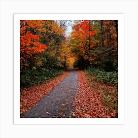 A Crisp American Autumn Scene Unfolds Embodying The Quiet Beauty Of A Fall Nature Trail Transitioni (4) 1 Art Print