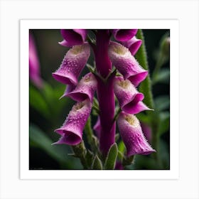 Foxglove Flower Art Print