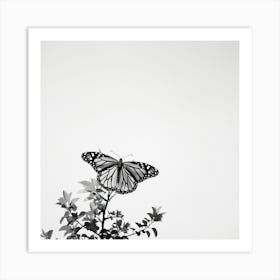 Black And White Butterfly Art Print