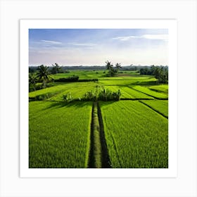 Grow Plant Green Background Field Aerial Landscape Pattern Agriculture Grass Harvesting C (4) Art Print