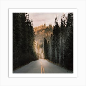 Moody Forest Highway Art Print