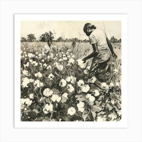 Cotton Field 1 Art Print