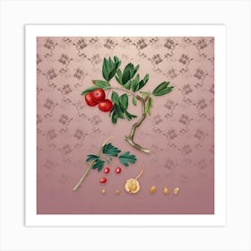Vintage Red Thorn Apple Botanical on Dusty Pink Pattern n.0186 Art Print