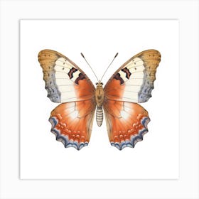 Butterfly 6 Art Print