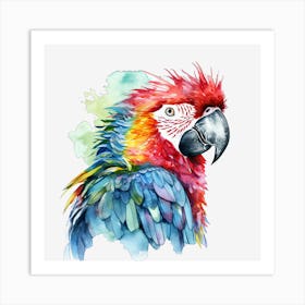 Colorful Parrot 19 Poster