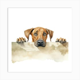 Rhodesian Ridgeback Art Print