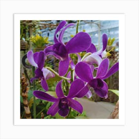 Purple Orchids Art Print