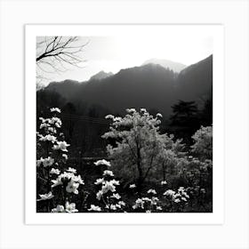 Black And White Flowers 1 Art Print