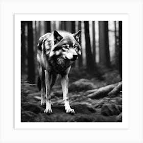 Wolf In The Woods 27 Art Print