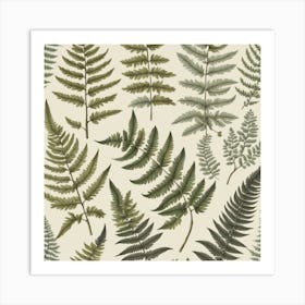 Ferns 6 Art Print