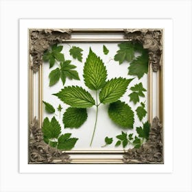 Berries In A Frame Art Print