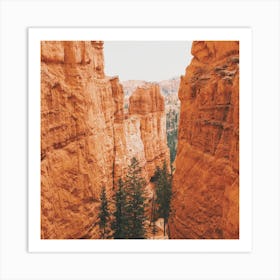 Bryce Canyon Trail Art Print