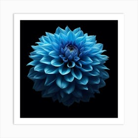 Blue Dahlia 1 Art Print