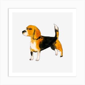 Beagle Art Print