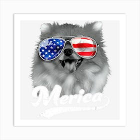 Limited Edition Merica Pomeranian Usa American Flag Sunglasses Art Print