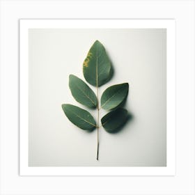 Eucalyptus Leaf 11 Art Print