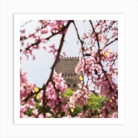 Alhambra Pink Blossom Art Print