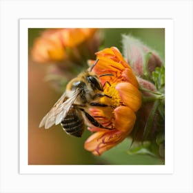 Bee On A Flower Art Print