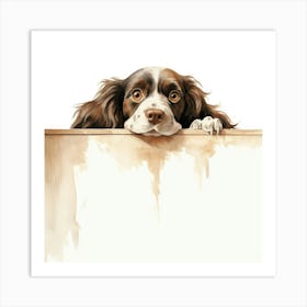 Spaniel Clumber 1 Art Print