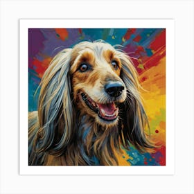 Afghan Hound Art Print