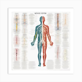 Nervous System 2 Art Print