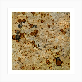 Abstraction Dried Water In The Desert Art Print