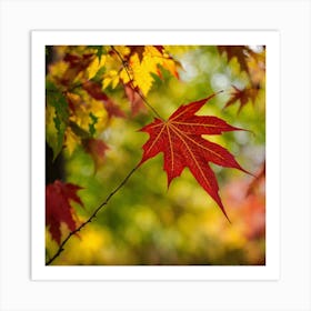 Autumn Maple Leaf Art Print