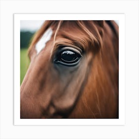 Eye Of A Horse Art Print