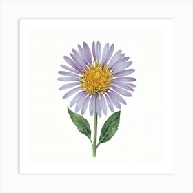 Aster Art Print