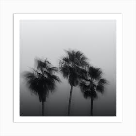 California Palm Trees Blurry Square Minimalist Art Print