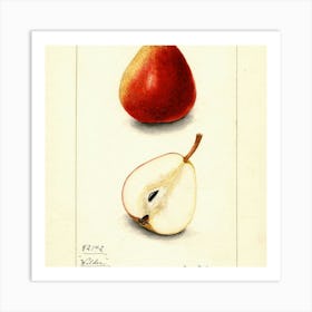 Fruit 20 Art Print