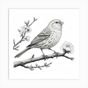 Line Art canary 2 Art Print