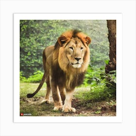 Lion In The Forest Art Print