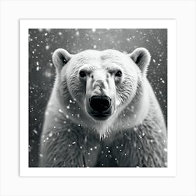 Polar Bear Portrait , Monochrome no.3 Art Print