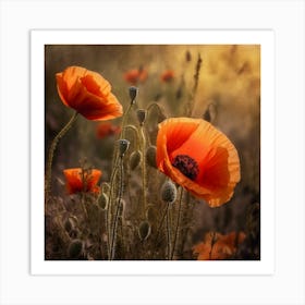 Poppies At Sunset Art Print