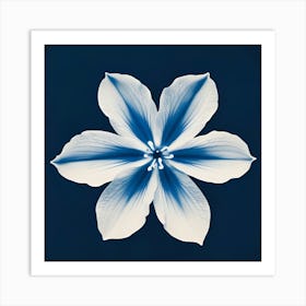 Blue Flower 4 Art Print