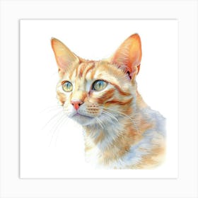 Bali Cat Portrait 2 Art Print