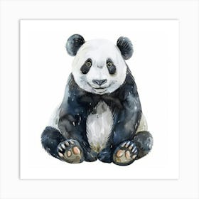 Panda Bear Canvas Print Art Print